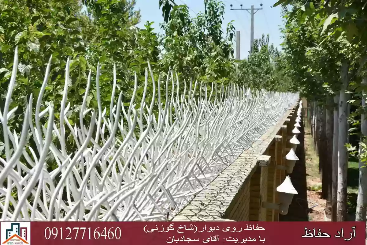 حفاظ دیوار تهران